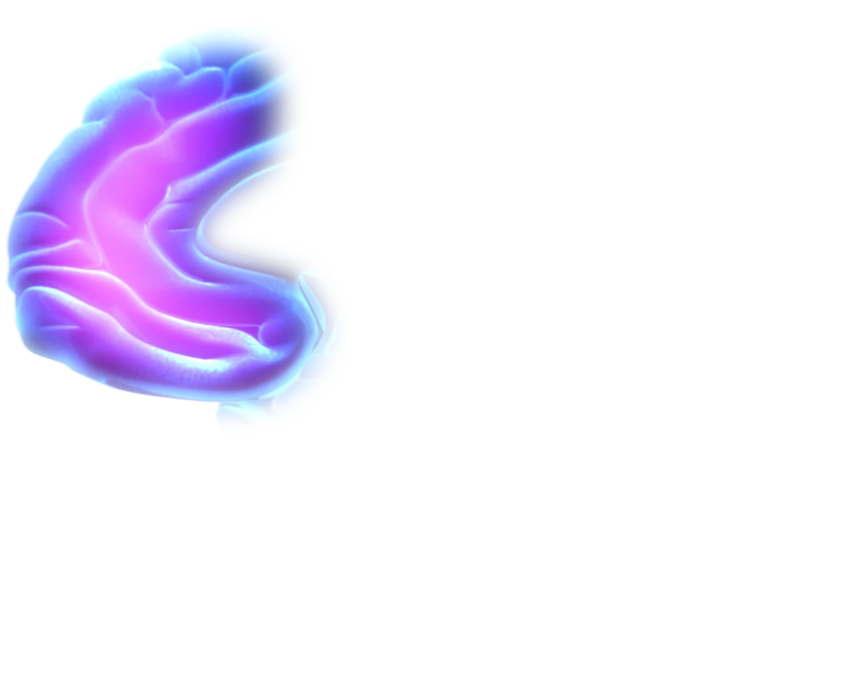 Healthy Brain Prefrontal Cortex